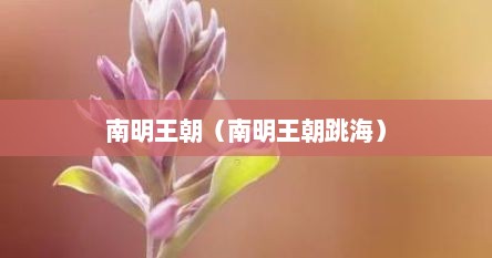 南明王朝（南明王朝跳海）