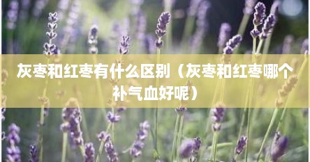 灰枣和红枣有什么区别（灰枣和红枣哪个补气血好呢）