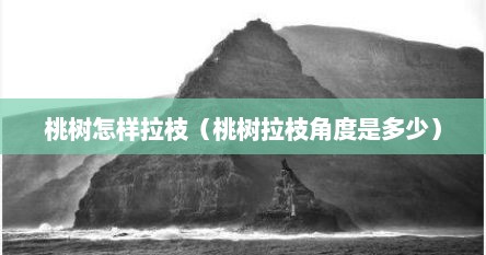 桃树怎样拉枝（桃树拉枝角度是多少）
