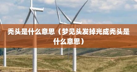 秃头是什么意思（梦见头发掉光成秃头是什么意思）