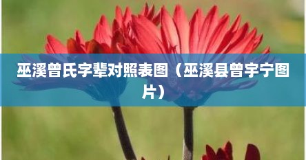 巫溪曾氏字辈对照表图（巫溪县曾宇宁图片）