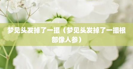 梦见头发掉了一撮（梦见头发掉了一撮根部像人参）