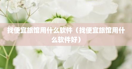 找便宜旅馆用什么软件（找便宜旅馆用什么软件好）