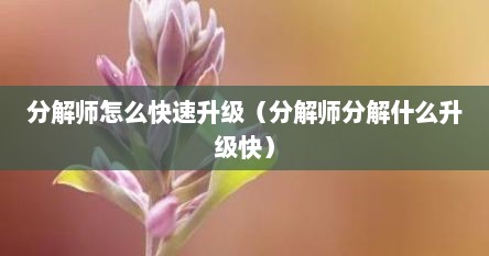 分解师怎么快速升级（分解师分解什么升级快）