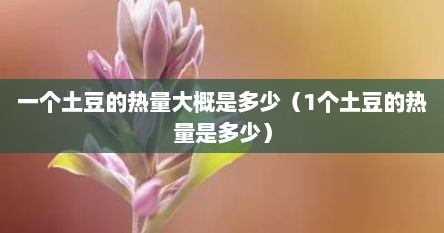 一个土豆的热量大概是多少（1个土豆的热量是多少）