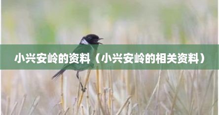 小兴安岭的资料（小兴安岭的相关资料）