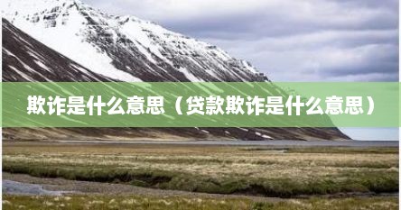 欺诈是什么意思（贷款欺诈是什么意思）