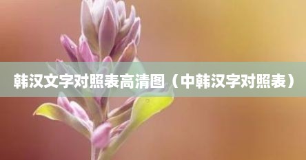 韩汉文字对照表高清图（中韩汉字对照表）