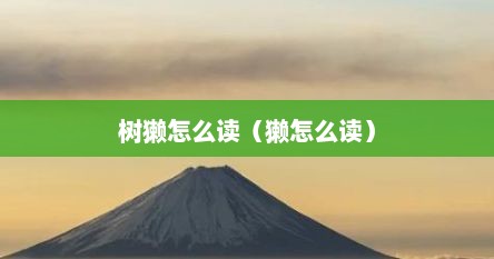 树獭怎么读（獭怎么读）