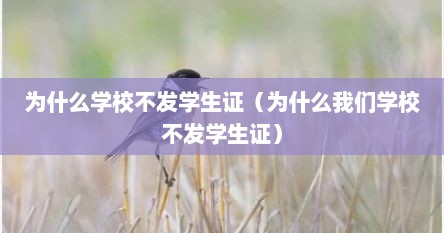 为什么学校不发学生证（为什么我们学校不发学生证）