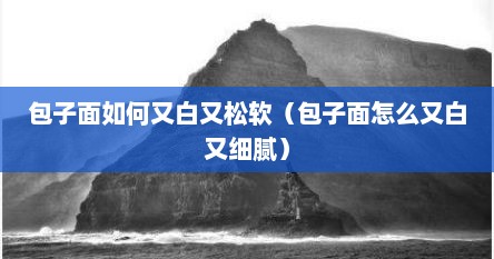包子面如何又白又松软（包子面怎么又白又细腻）