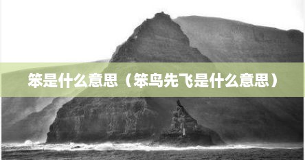 笨是什么意思（笨鸟先飞是什么意思）