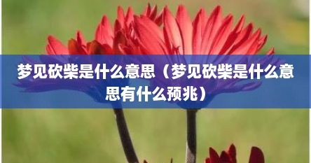 梦见砍柴是什么意思（梦见砍柴是什么意思有什么预兆）