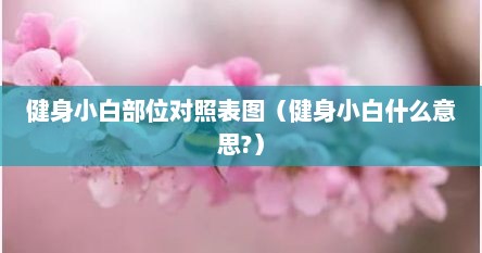 健身小白部位对照表图（健身小白什么意思?）