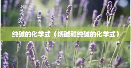 纯碱烧碱的化学式（纯碱的化学式和烧碱的化学式）