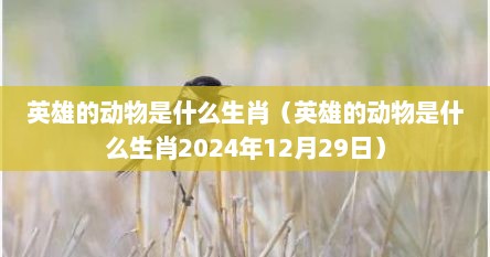 英雄的动物是什么生肖（英雄的动物是什么生肖2024年12月29日）