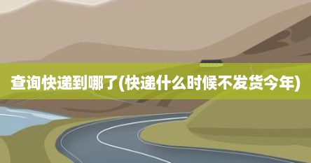 查询快递到哪了(快递什么时候不发货今年)