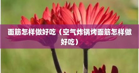 面筋怎样做好吃（空气炸锅烤面筋怎样做好吃）