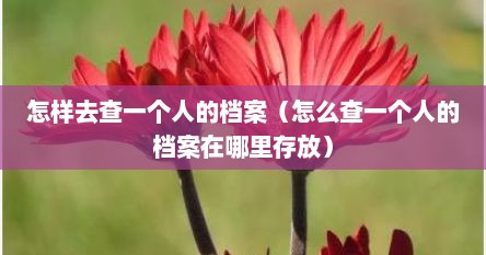 怎样去查一个人的档案（怎么查一个人的档案在哪里存放）