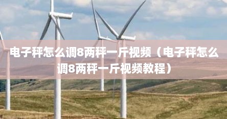 电子秤怎么调8两秤一斤视频（电子秤怎么调8两秤一斤视频教程）