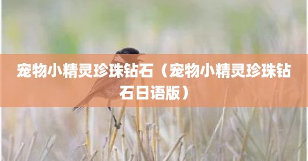 宠物小精灵珍珠钻石（宠物小精灵珍珠钻石日语版）