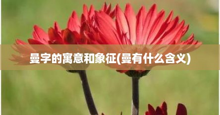 曼字的寓意和象征(曼有什么含义)
