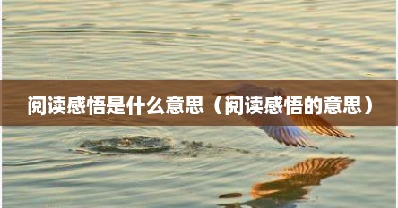 阅读感悟是什么意思（阅读感悟的意思）