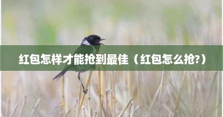 红包怎样才能抢到最佳(红包怎么抢?) 红包怎样才能抢到最佳(红包怎么抢?)