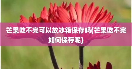 芒果吃不完可以放冰箱保存吗(芒果吃不完如何保存呢)