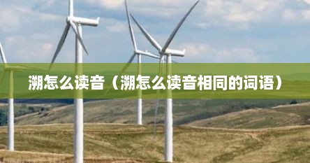 溯怎么读音（溯怎么读音相同的词语）
