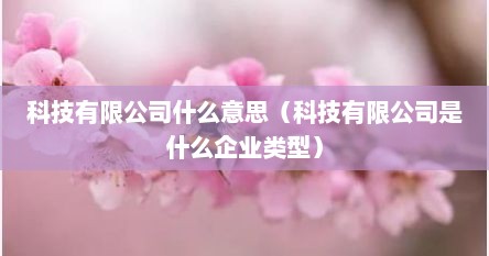 科技有限公司什么意思（科技有限公司是什么企业类型）