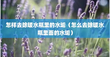 怎样去除暖水瓶里的水垢（怎么去除暖水瓶里面的水垢）