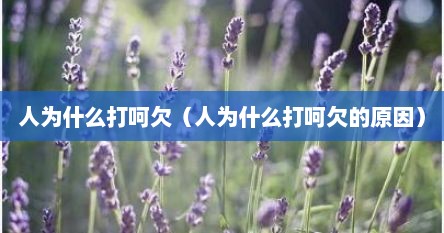 人为什么打呵欠（人为什么打呵欠的原因）