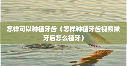 怎样可以种植牙齿（怎样种植牙齿视频拔牙后怎么植牙）
