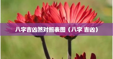 八字吉凶煞对照表图（八字 吉凶）