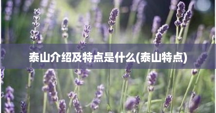 泰山介绍及特点是什么(泰山特点)