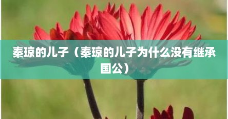 秦琼的儿子（秦琼的儿子为什么没有继承国公）