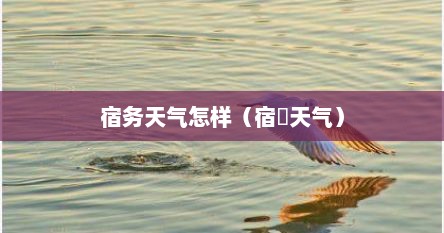 宿务天气怎样（宿仠天气）