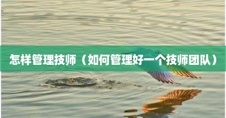 怎样管理技师（如何管理好一个技师团队）