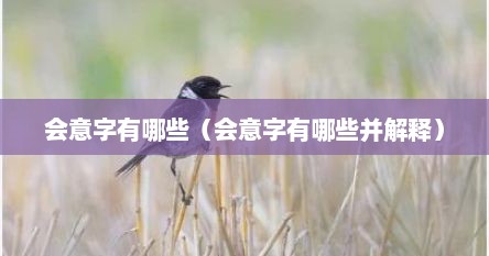 会意字有哪些（会意字有哪些并解释）
