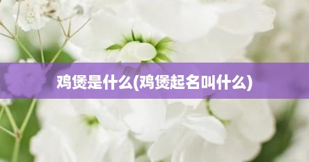 鸡煲是什么(鸡煲起名叫什么)