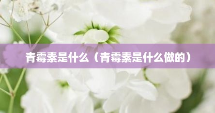 青霉素是什么（青霉素是什么做的）