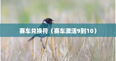赛车兑换符（赛车激活9到10）