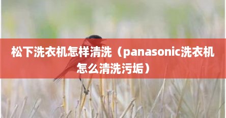 松下洗衣机怎样清洗（panasonic洗衣机怎么清洗污垢）