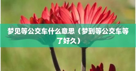 梦见等公交车什么意思（梦到等公交车等了好久）