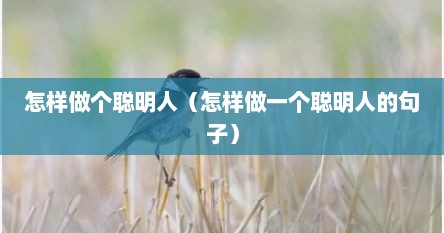 怎样做个聪明人（怎样做一个聪明人的句子）