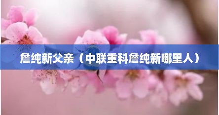 詹纯新父亲(中联重科詹纯新哪里人)
