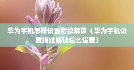 华为手机怎样设置指纹解锁（华为手机设置指纹解锁怎么设置）