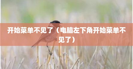 开始菜单不见了（电脑左下角开始菜单不见了）