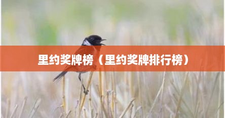 里约奖牌榜（里约奖牌排行榜）